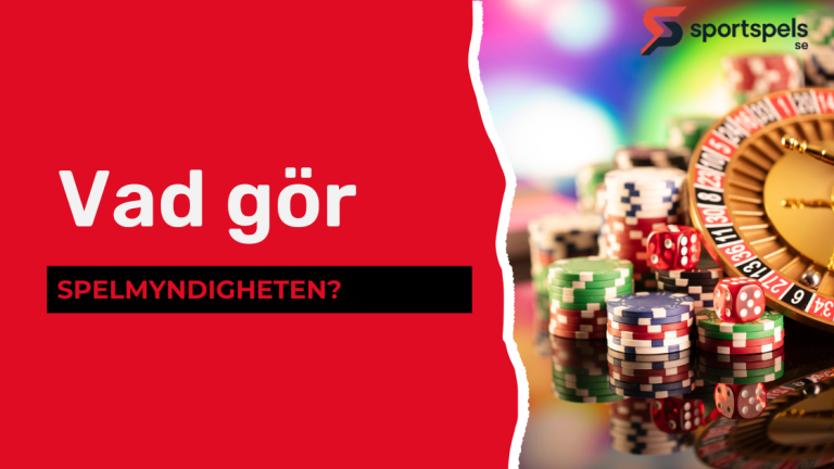 Vad gör spelmyndigheten?