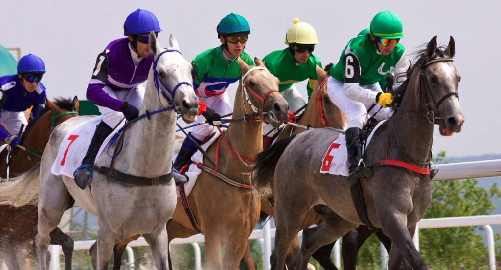 vadslagning på hästkapplöpning