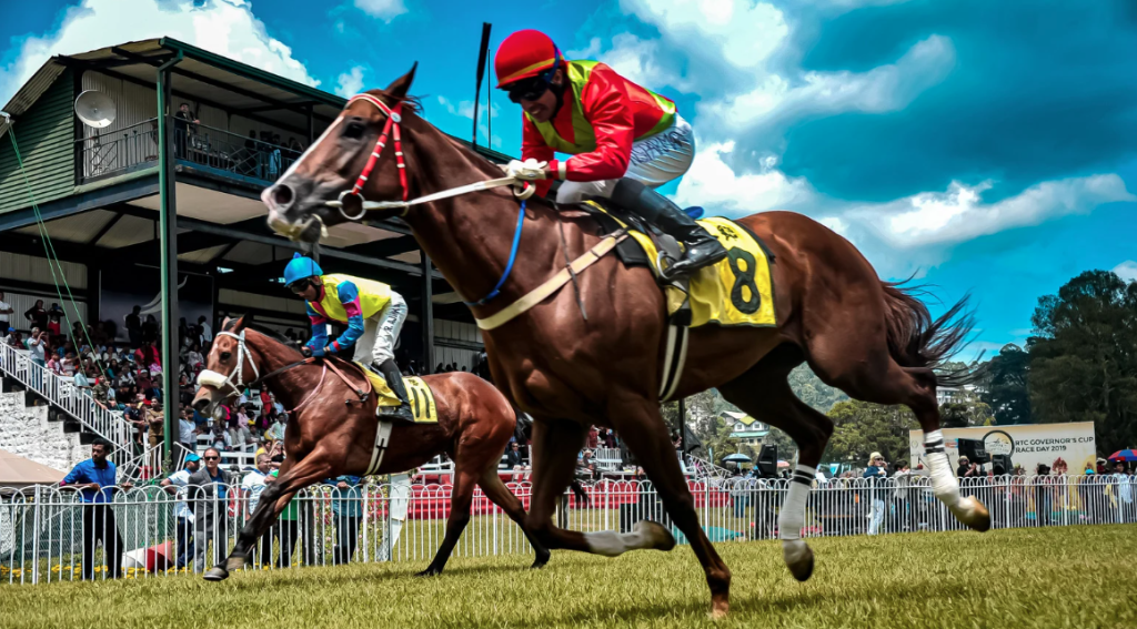 satsar smart på hästkapplöpning